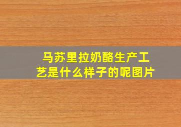 马苏里拉奶酪生产工艺是什么样子的呢图片