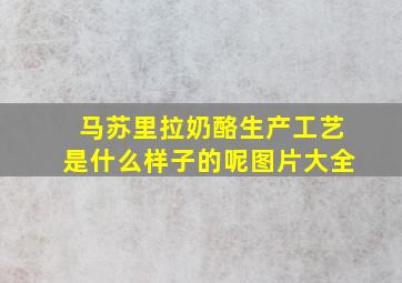 马苏里拉奶酪生产工艺是什么样子的呢图片大全