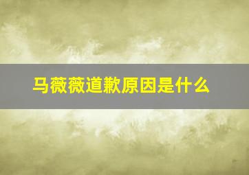 马薇薇道歉原因是什么