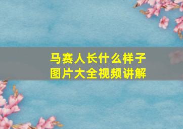 马赛人长什么样子图片大全视频讲解