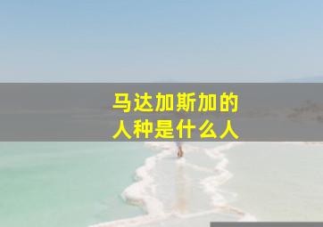 马达加斯加的人种是什么人