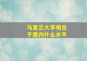 马里兰大学相当于国内什么水平