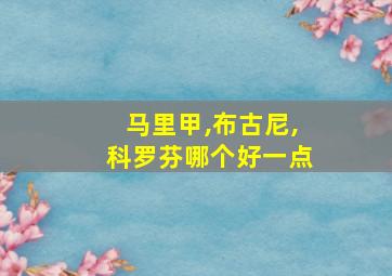 马里甲,布古尼,科罗芬哪个好一点