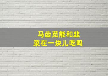 马齿苋能和韭菜在一块儿吃吗