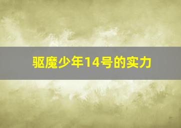 驱魔少年14号的实力