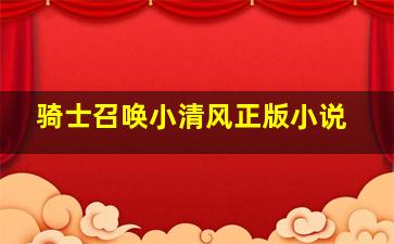 骑士召唤小清风正版小说