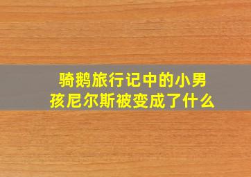 骑鹅旅行记中的小男孩尼尔斯被变成了什么