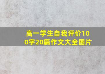 高一学生自我评价100字20篇作文大全图片