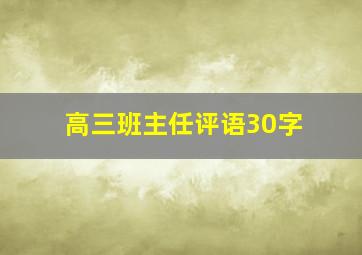 高三班主任评语30字