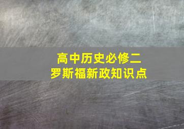 高中历史必修二罗斯福新政知识点