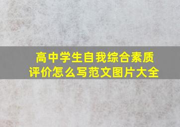 高中学生自我综合素质评价怎么写范文图片大全