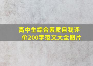 高中生综合素质自我评价200字范文大全图片