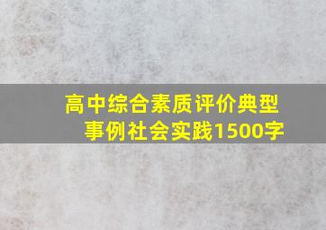 高中综合素质评价典型事例社会实践1500字