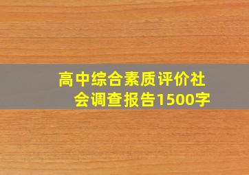 高中综合素质评价社会调查报告1500字