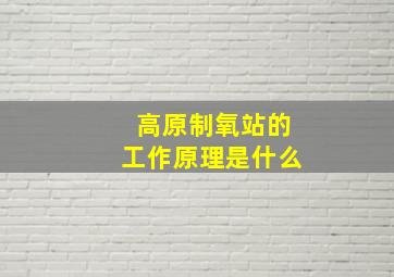 高原制氧站的工作原理是什么