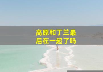 高原和丁兰最后在一起了吗