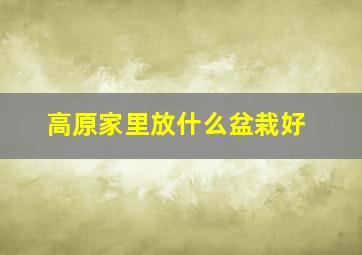 高原家里放什么盆栽好