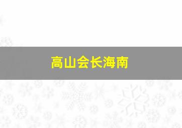 高山会长海南