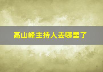 高山峰主持人去哪里了