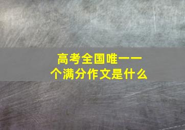 高考全国唯一一个满分作文是什么