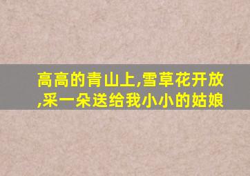 高高的青山上,雪草花开放,采一朵送给我小小的姑娘