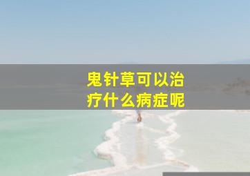 鬼针草可以治疗什么病症呢