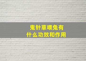 鬼针草喂兔有什么功效和作用