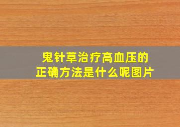 鬼针草治疗高血压的正确方法是什么呢图片