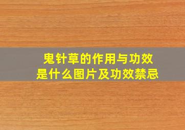 鬼针草的作用与功效是什么图片及功效禁忌