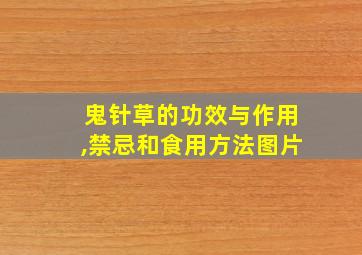 鬼针草的功效与作用,禁忌和食用方法图片