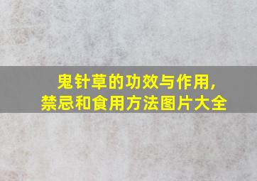 鬼针草的功效与作用,禁忌和食用方法图片大全