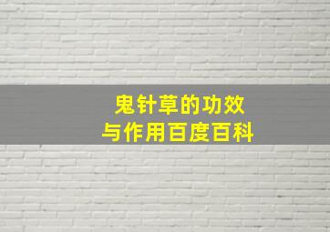 鬼针草的功效与作用百度百科