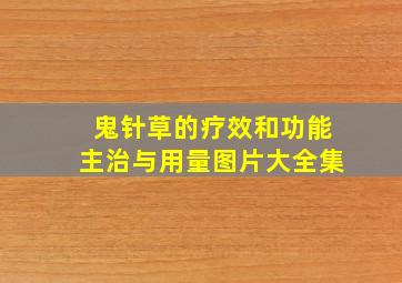 鬼针草的疗效和功能主治与用量图片大全集