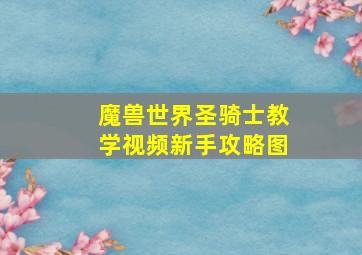 魔兽世界圣骑士教学视频新手攻略图