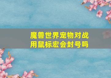 魔兽世界宠物对战用鼠标宏会封号吗