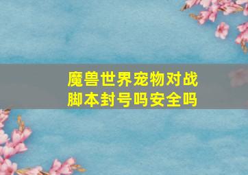 魔兽世界宠物对战脚本封号吗安全吗