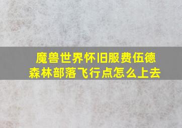 魔兽世界怀旧服费伍德森林部落飞行点怎么上去