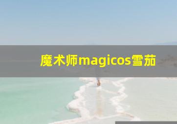 魔术师magicos雪茄