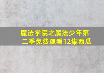 魔法学院之魔法少年第二季免费观看12集西瓜