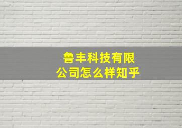 鲁丰科技有限公司怎么样知乎