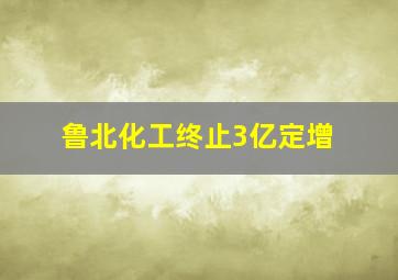 鲁北化工终止3亿定增