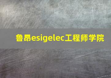 鲁昂esigelec工程师学院