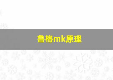 鲁格mk原理