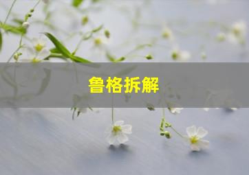 鲁格拆解