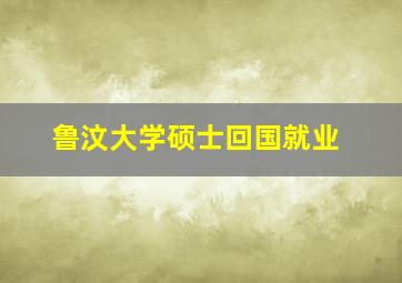 鲁汶大学硕士回国就业