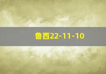 鲁西22-11-10