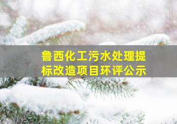 鲁西化工污水处理提标改造项目环评公示