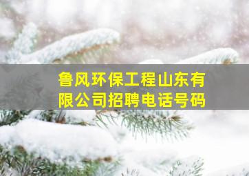 鲁风环保工程山东有限公司招聘电话号码