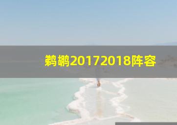 鹈鹕20172018阵容