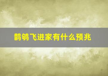 鹊鸲飞进家有什么预兆